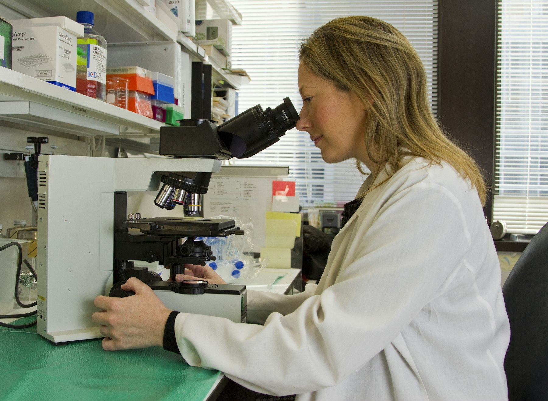Laboratory technician reviewing samples through a microscope